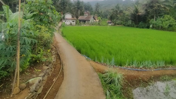 Misteri 'Kuda Gonjreng' yang Hantui Warga Bangbayang Ciamis  Baca artikel detikjabar, "Misteri 'Kuda Gonjreng' yang Hantui Warga Bangbayang Ciamis"